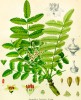 အံ့ၾသဘြယ္နာမေတာ္မ်ား (၄၉)